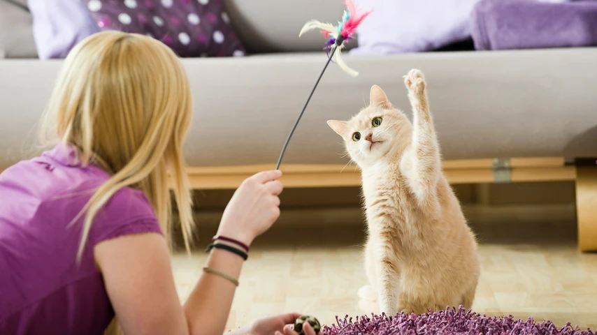 Girl playing with cat